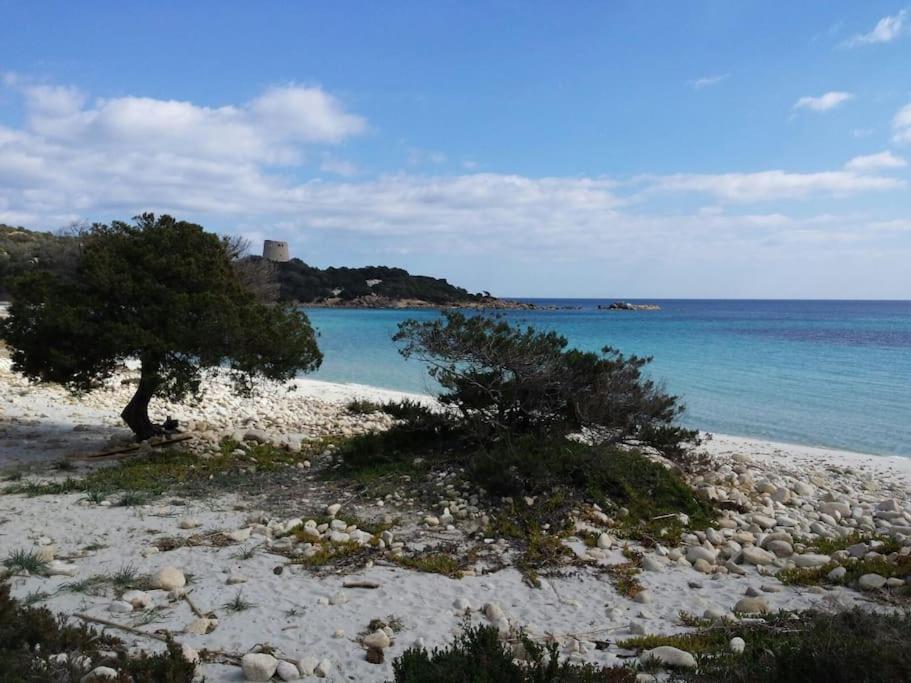 Cala Pira Sunset Villa On The Beach Cala Sinzias Exterior photo