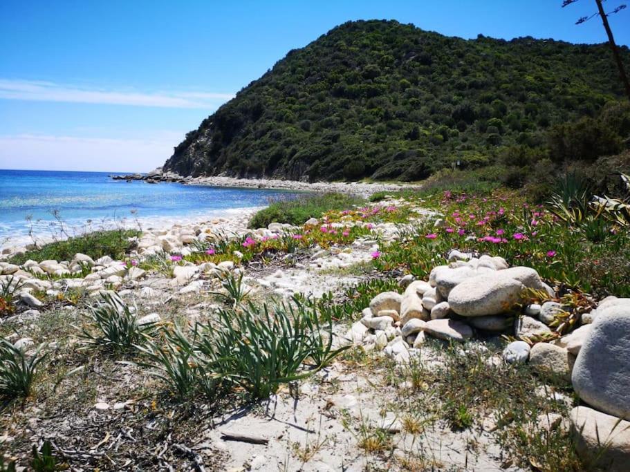 Cala Pira Sunset Villa On The Beach Cala Sinzias Exterior photo